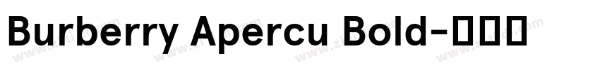Burberry Apercu Bold字体转换